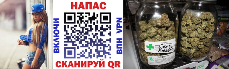где продают   Остров  Каннабис планчик 